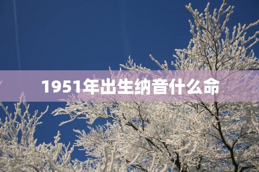 1951年出生纳音什么命