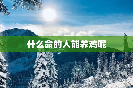 什么命的人能养鸡呢