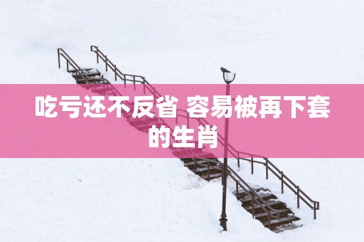 吃亏还不反省 容易被再下套的生肖