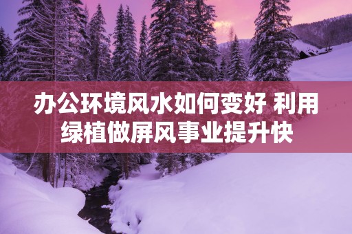 办公环境风水如何变好 利用绿植做屏风事业提升快
