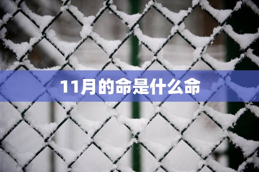 11月的命是什么命