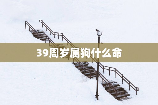 39周岁属狗什么命