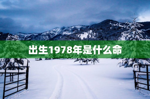 出生1978年是什么命