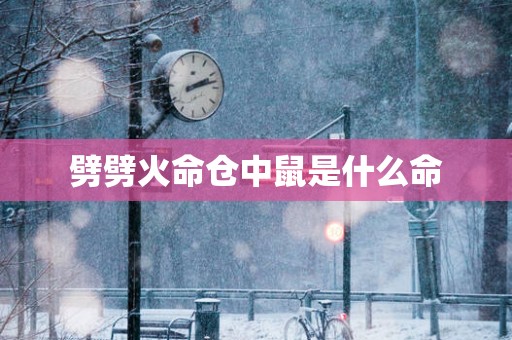 劈劈火命仓中鼠是什么命