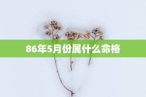 86年5月份属什么命格