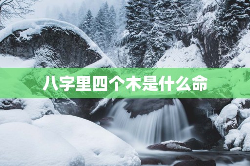 八字里四个木是什么命