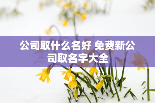公司取什么名好 免费新公司取名字大全