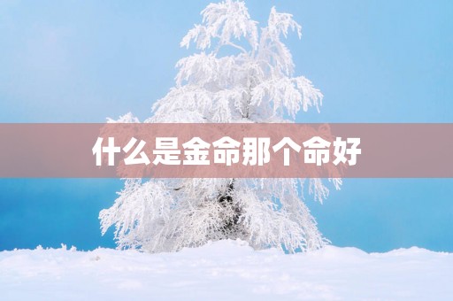 什么是金命那个命好