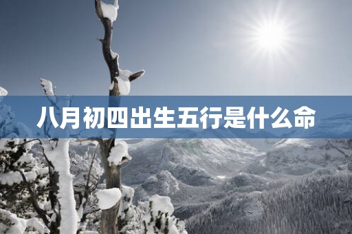 八月初四出生五行是什么命