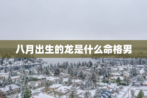八月出生的龙是什么命格男