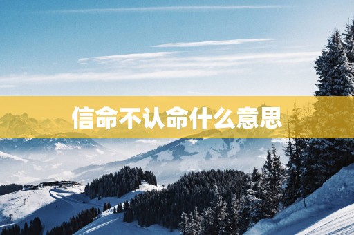 信命不认命什么意思
