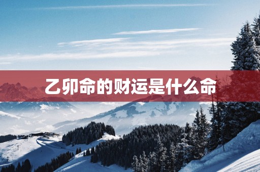 乙卯命的财运是什么命