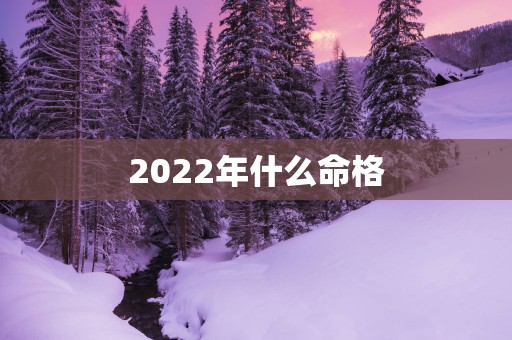 2025年什么命格