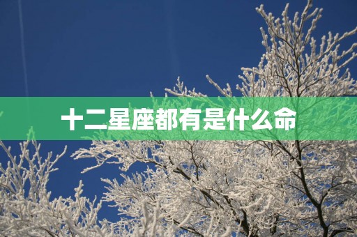 十二星座都有是什么命
