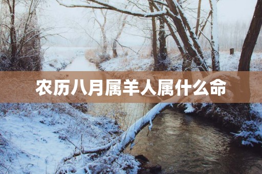 农历八月属羊人属什么命