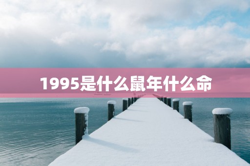 1995是什么蛇年什么命