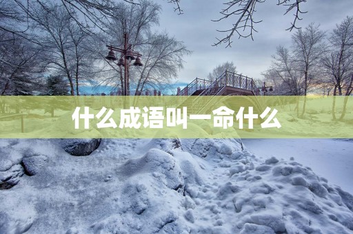 什么成语叫一命什么