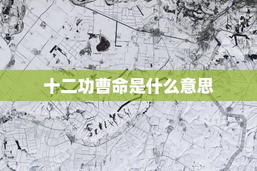 十二功曹命是什么意思