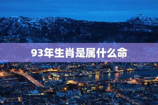 93年生肖是属什么命