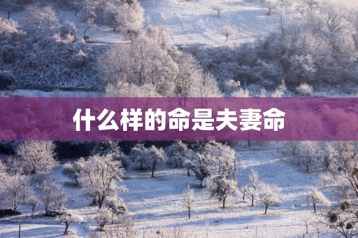 什么样的命是夫妻命