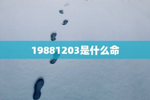 19881203是什么命