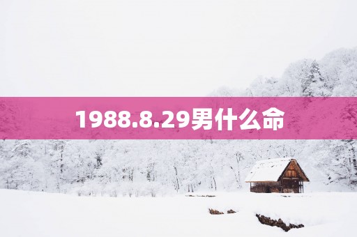 1988.8.29男什么命