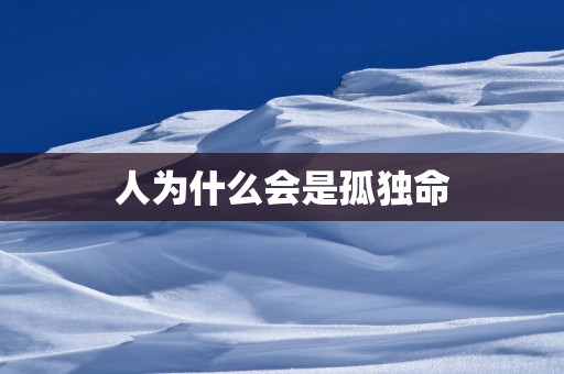 人为什么会是孤独命
