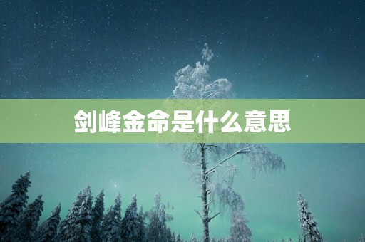 剑峰金命是什么意思