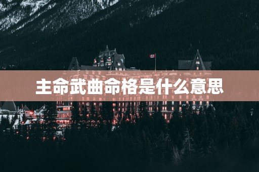 主命武曲命格是什么意思