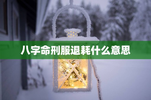 八字命刑服退耗什么意思