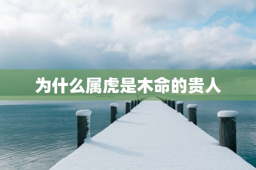 为什么属虎是木命的贵人