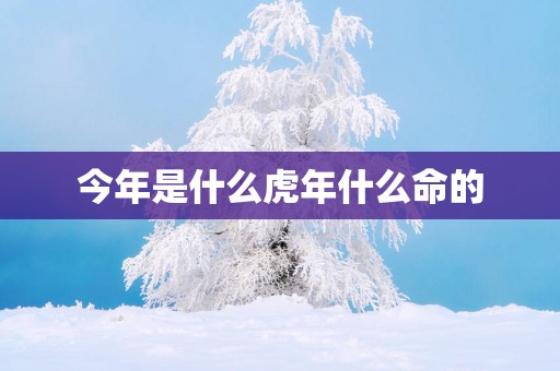 今年是什么蛇年什么命的