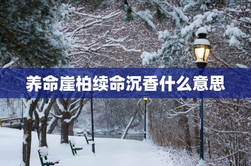 养命崖柏续命沉香什么意思