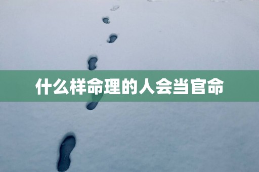 什么样命理的人会当官命