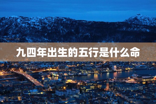 九四年出生的五行是什么命
