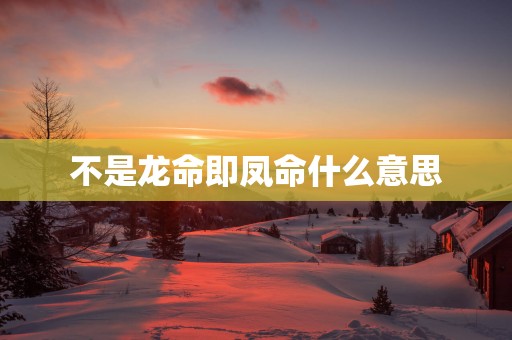 不是龙命即凤命什么意思