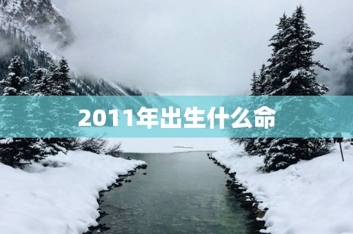 2011年出生什么命