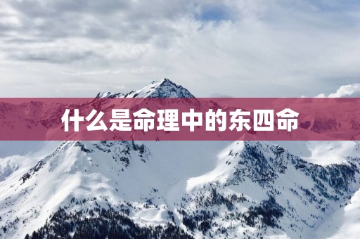什么是命理中的东四命