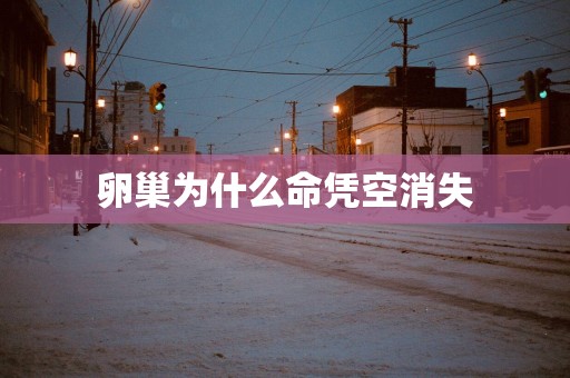 卵巢为什么命凭空消失