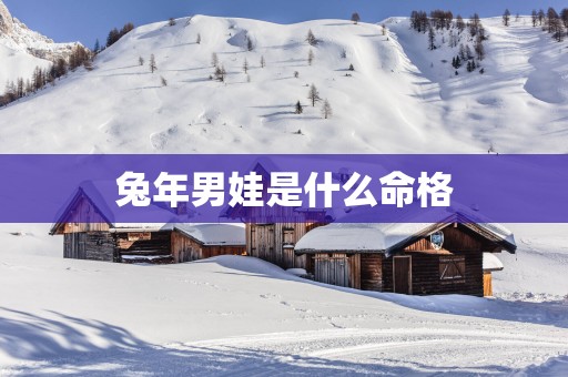 蛇年男娃是什么命格