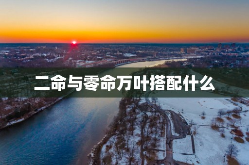 二命与零命万叶搭配什么