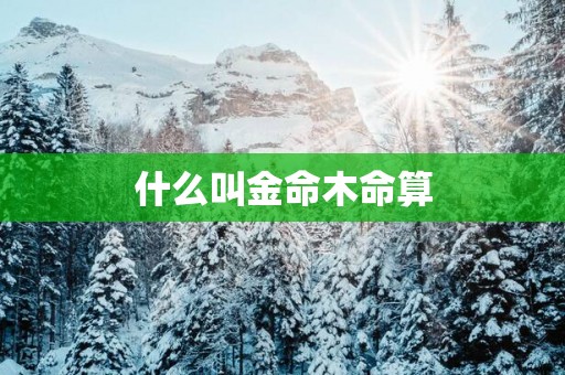 什么叫金命木命算