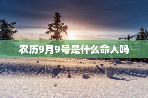 农历9月9号是什么命人吗