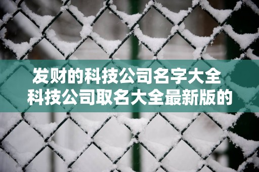 发财的科技公司名字大全 科技公司取名大全最新版的