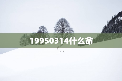 19950314什么命