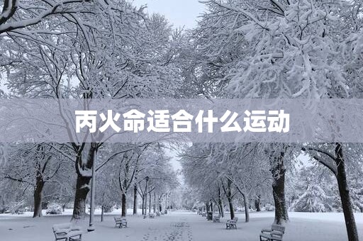 丙火命适合什么运动