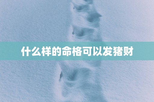 什么样的命格可以发猪财