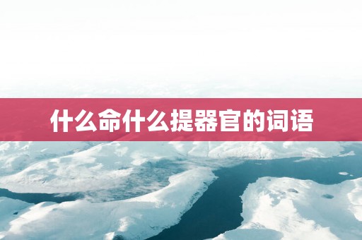 什么命什么提器官的词语