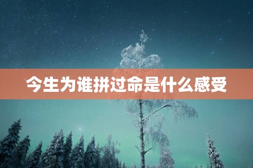 今生为谁拼过命是什么感受