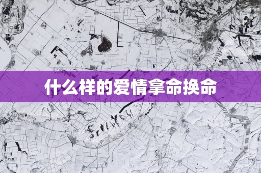 什么样的爱情拿命换命